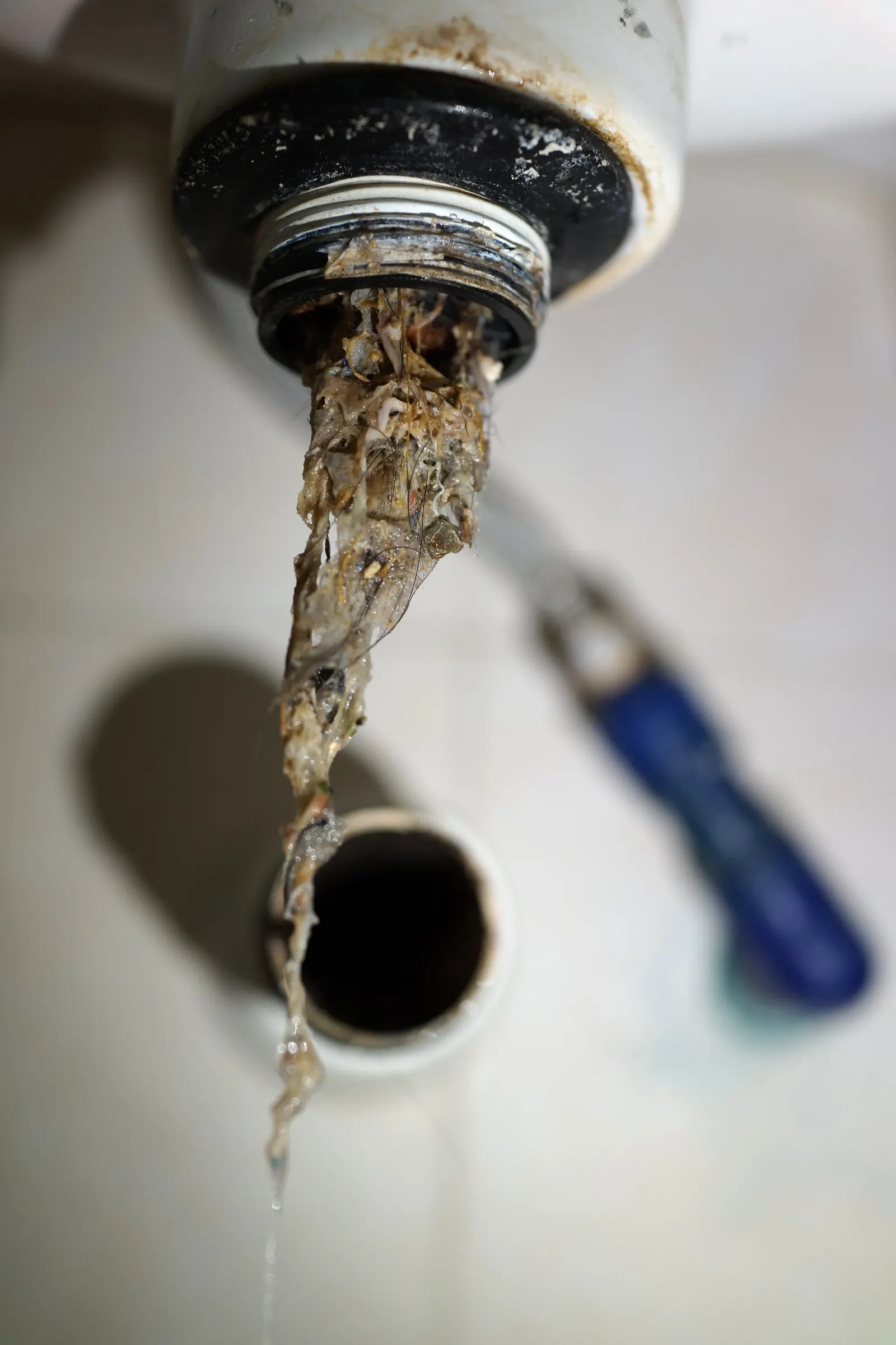 Multiple household drains backing up at once &mdash; the classic mainline-blockage signature behind pine-root calls in Lufkin, TX