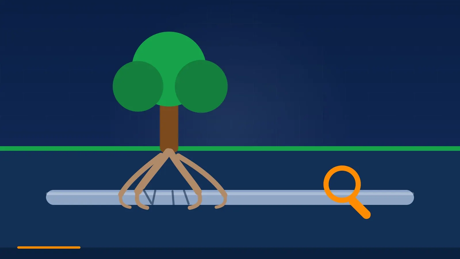 Cutaway illustration of tree roots invading a sewer line joint, the defining failure under Tyler's pine-shaded neighborhoods